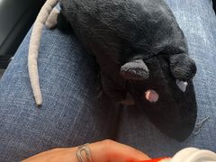 -CoCo都可(香港名都店)