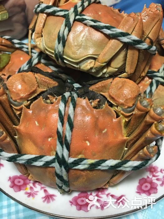 馒头的提莫上传的图片