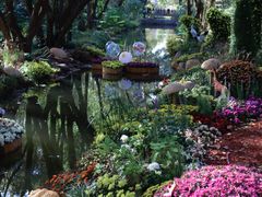 -上海共青森林公园