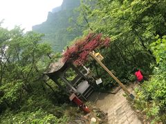 -遂昌金矿国家矿山公园