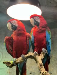 -Zoolung Zoolung动物主题公园(海信广场店)