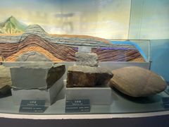 -郑州自然博物馆(惠济区)