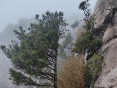 -龙峪湾国家森林公园