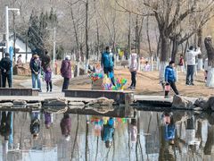 -前关湿地公园