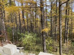 -白草畔自然风景区