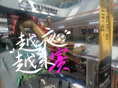 -融创茂(青岛店)