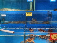 水产区-黄寺蒸汽海鲜(黄寺大街店)