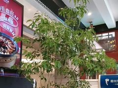 -眉州东坡(团结湖店)