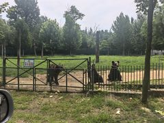 -秦皇岛野生动物园