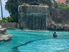 -麦哲伦丝绸度假村