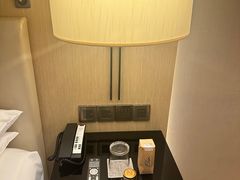 -成都尼依格罗酒店