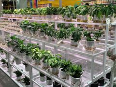 -深圳龙华星河COCO City(民治店)