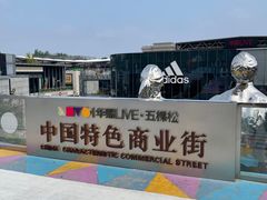 -中国人民解放军总医院(301医院)