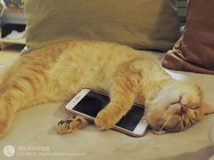 -中央广播电视总台(光华路办公区)