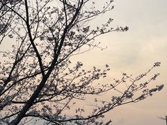 -台州府城(江南长城)