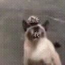 -阿罗新疆菜(人民广场店)