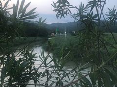 -横琴公社餐厅