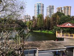 -晓港公园
