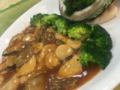 -新金盛·海鲜酒楼(盐田店)