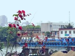 -运河游船(武林门码头)