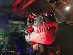 -恐龙探索乐园(磁器口店)