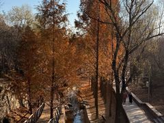 -白水寺森林公园