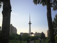 -龙塔