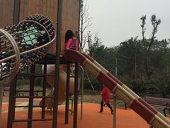 -枫香湖儿童公园