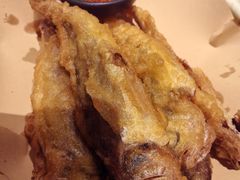 -佬肥猫(国华广场店)