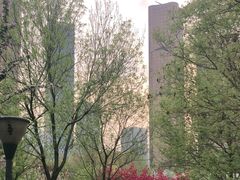-大望京公园