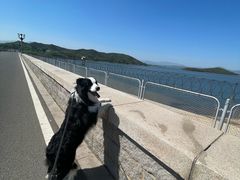 -姥家大锅台水库渔家