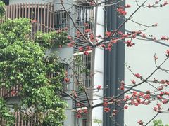 -四方面荘(常丰花园店)