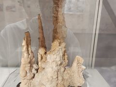 -安徽省地质博物馆
