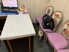 -宠爱国际动物医院·疑难骨科·心肾内科·皮肤科(太阳宫店)