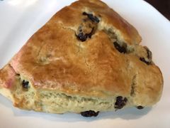 提子干黄油司康-星巴克(北京通州新光大中心店)