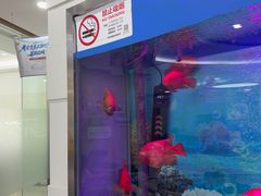 -雅悦齿科(顾村公园店)