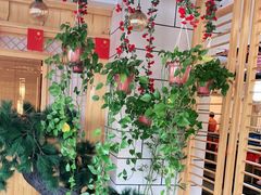 -九田家黑牛烤肉料理·自助(洪洞县城市花园店)