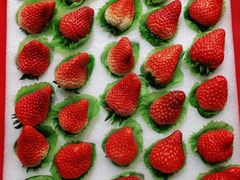 -旺顺阁海鲜广场(亚运村店)