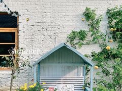 -Jo's Garden