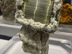 -湖南省地质博物馆