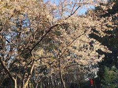 -新洲生态园