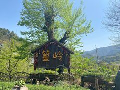 -婺源风景区