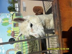 -鄂尔多斯野生动物园