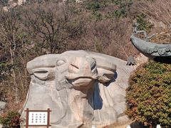 -青岛崂山太清宫