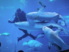 -太平洋海底世界