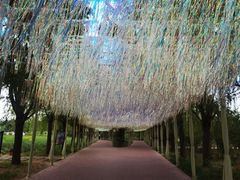 -滕州微山湖红荷湿地景区