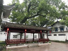 -江心屿景区
