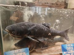 -上名堂·鱼头好吃(体育场路店)