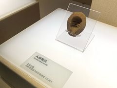 -宝丰清凉寺汝官窑遗址展览馆