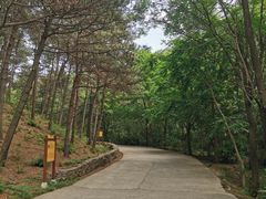从售票处徒步到景区路上-老象峰
